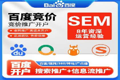 SEM推广策略：成功案例解析